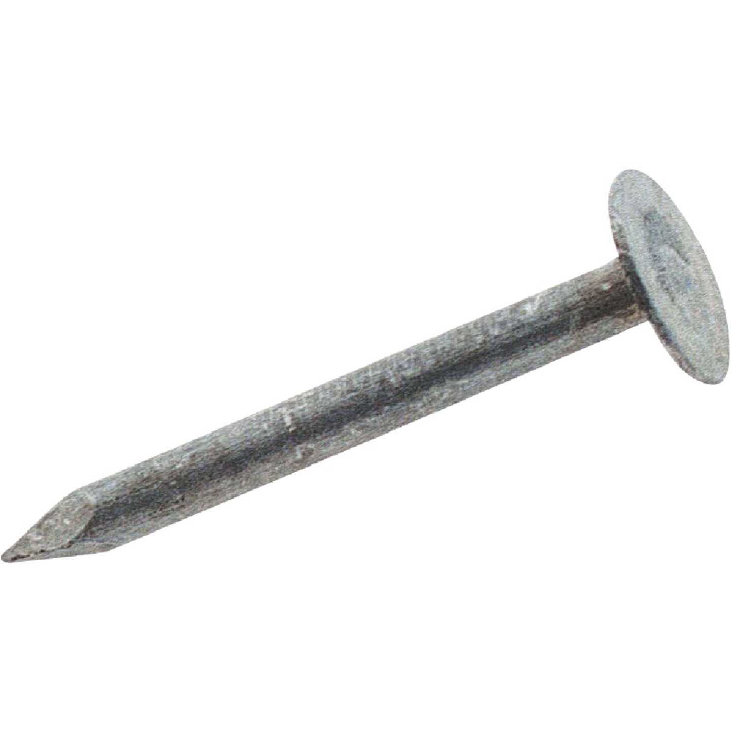 Grip-Rite 1-3/4 in. 11 ga Electrogalvanized Roofing Nails - Image 5