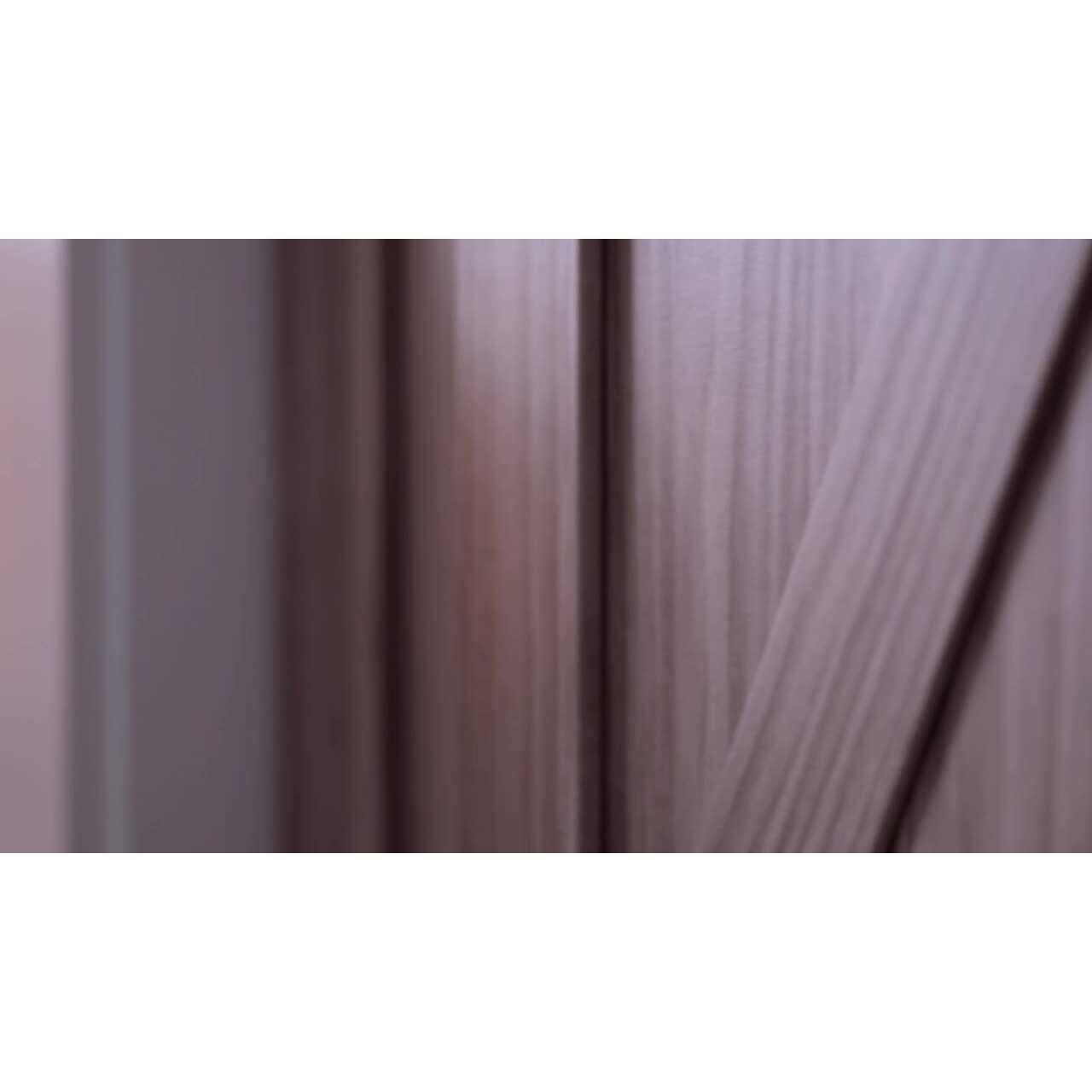 Renin 60 in. x 80 in. White Twilight Frosted Glass MDF Wood Sliding Closet Door - Image 3