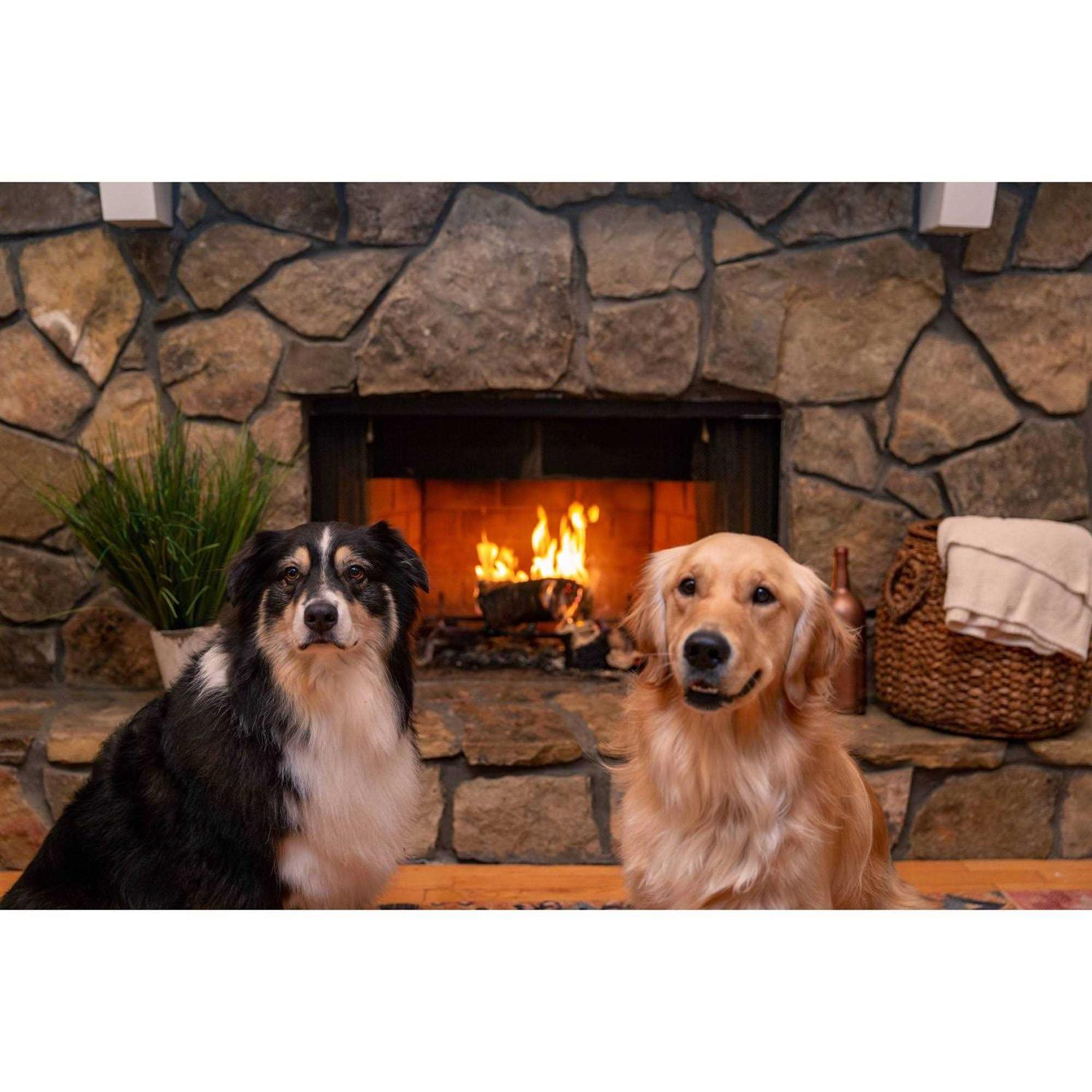 Diamond Matches Strike On Box - Image 5