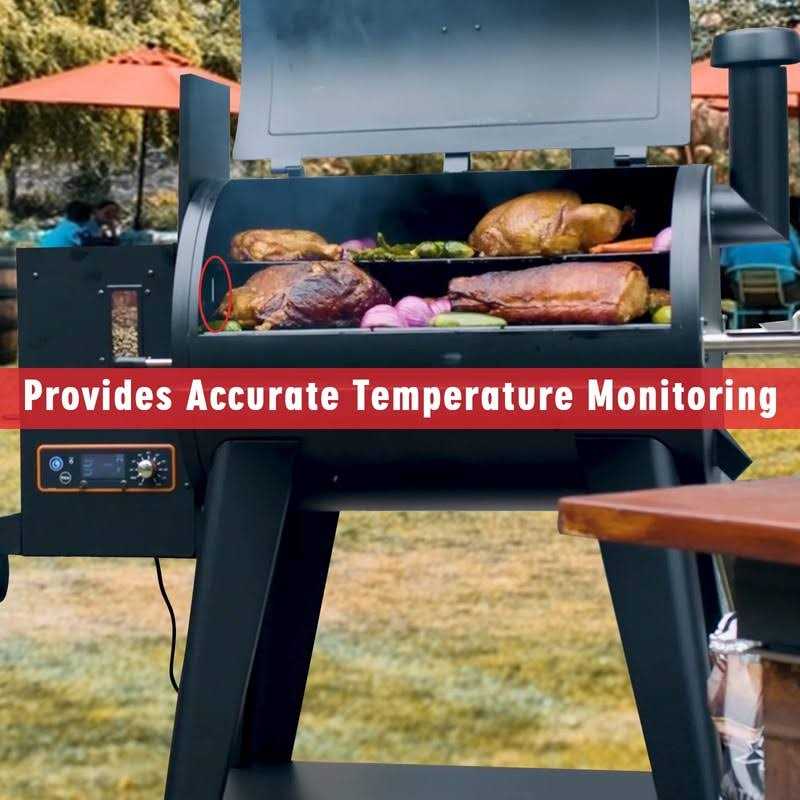 Entsong Replacement RTD Temperature Probe Sensor - Image 3