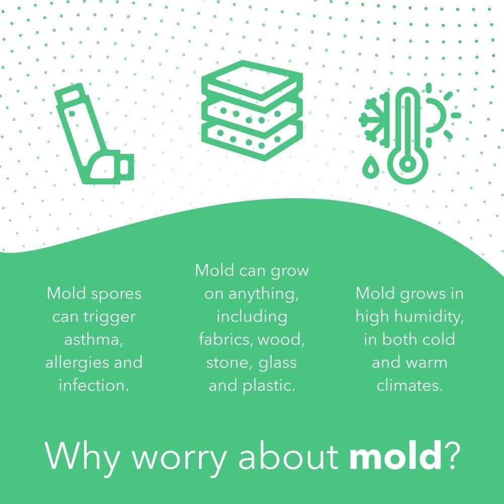 Airthings Wave Mini Battery Operated Smart Indoor Air Quality Monitor with Mold-Risk Indication - Image 4