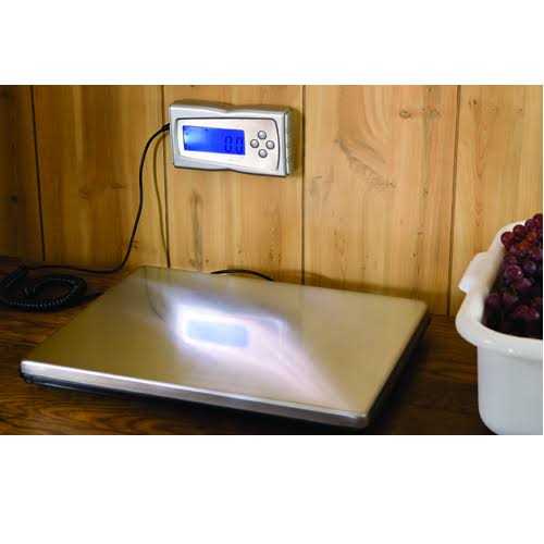 LEM 330 lb Stainless Steel Digital Scale - Image 2