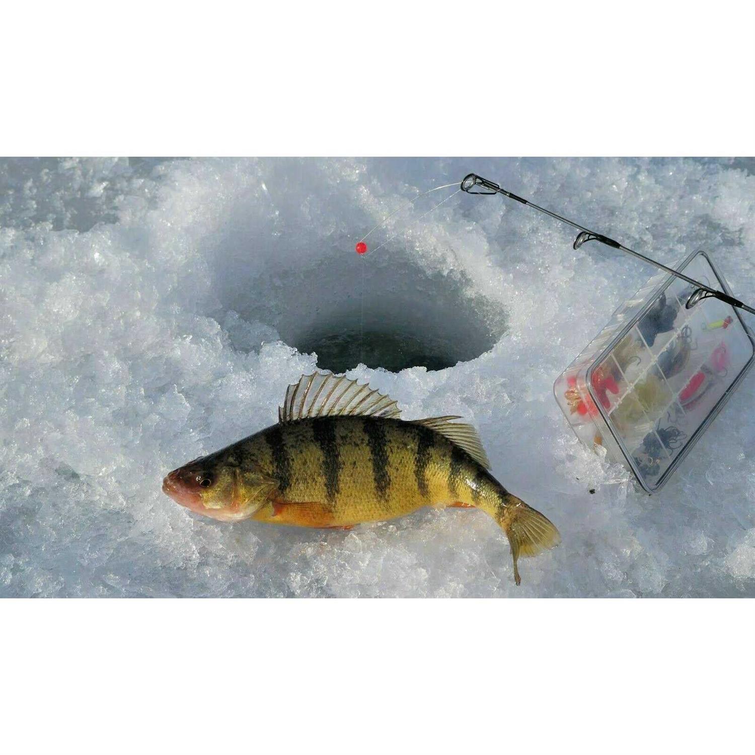Lowrance Ice Transducer - Image 3