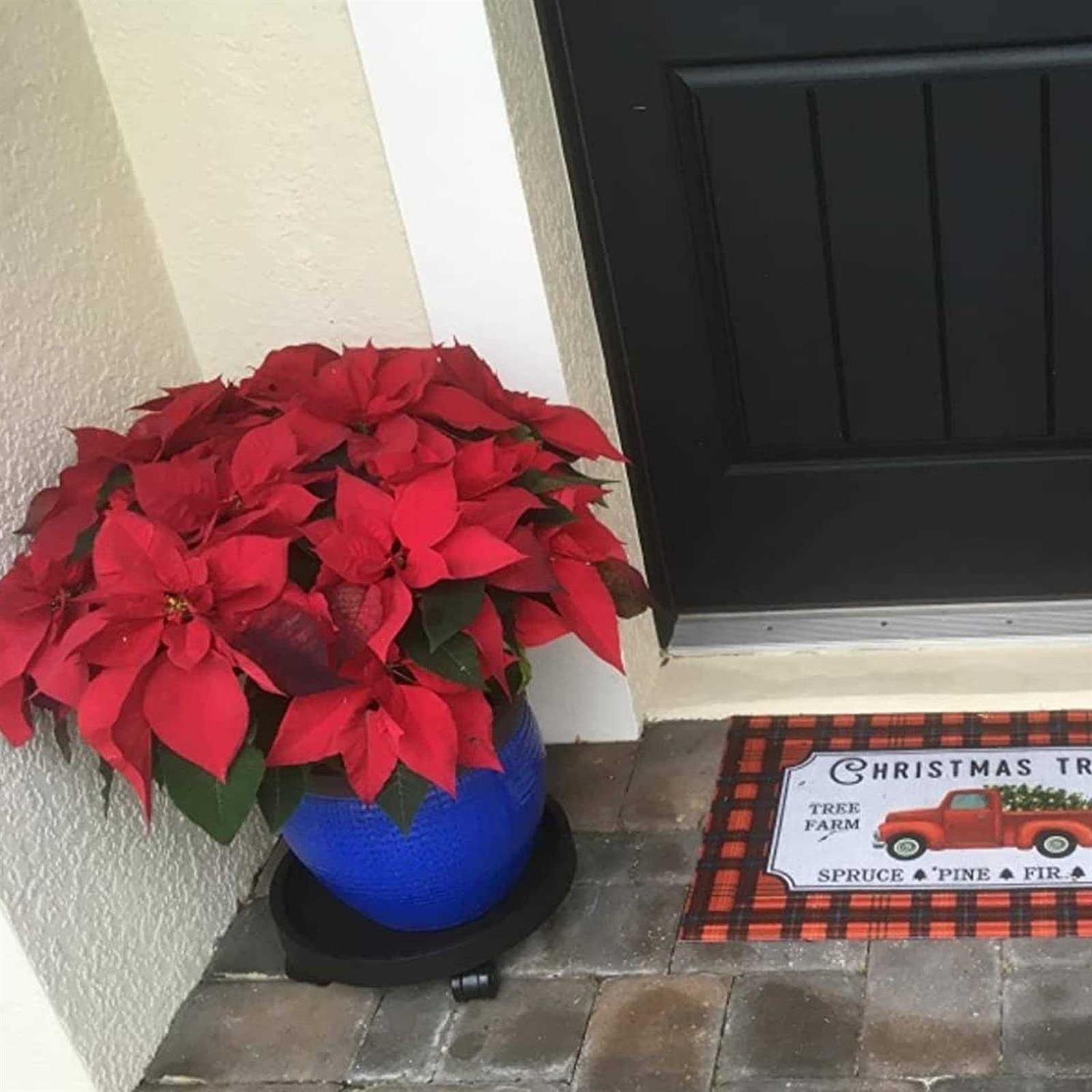 WanderingDonkey 2 Pack Heavy Duty Plant Caddy with Wheels,Rolling Plant Stand Pot Trolley,Wheeled Planter Saucer Tray,Potted Flower Mover Dolly - Image 4