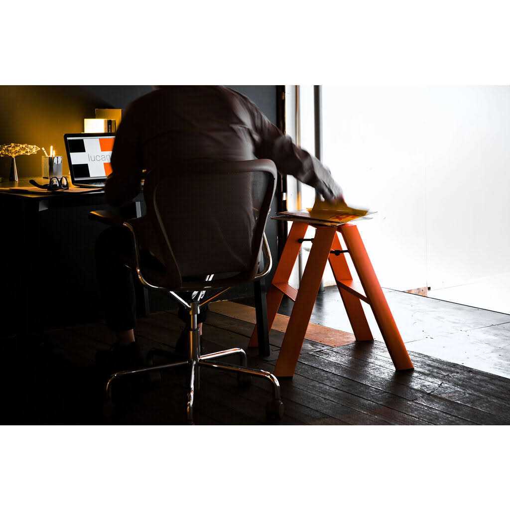 Hasegawa Ladders Lucano 2 Step - Image 4