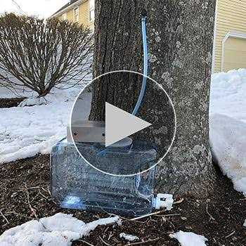 Maple Syrup Tree Tapping Kit, 12 Set Maple Tree Extractor Tool Kit with 12 Taps and 12 23.6inch Syrup Collection Tubes - Image 2