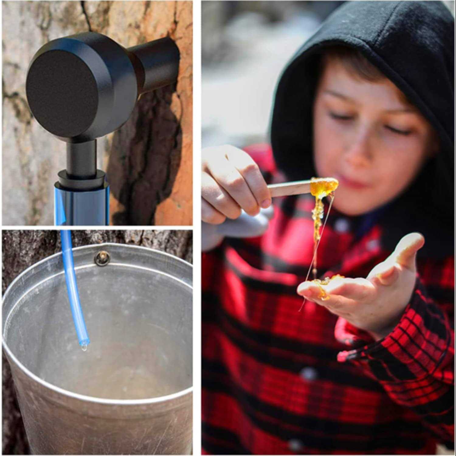 Maple Syrup Tree Tapping Kit, 12 Set Maple Tree Extractor Tool Kit with 12 Taps and 12 23.6inch Syrup Collection Tubes - Image 3