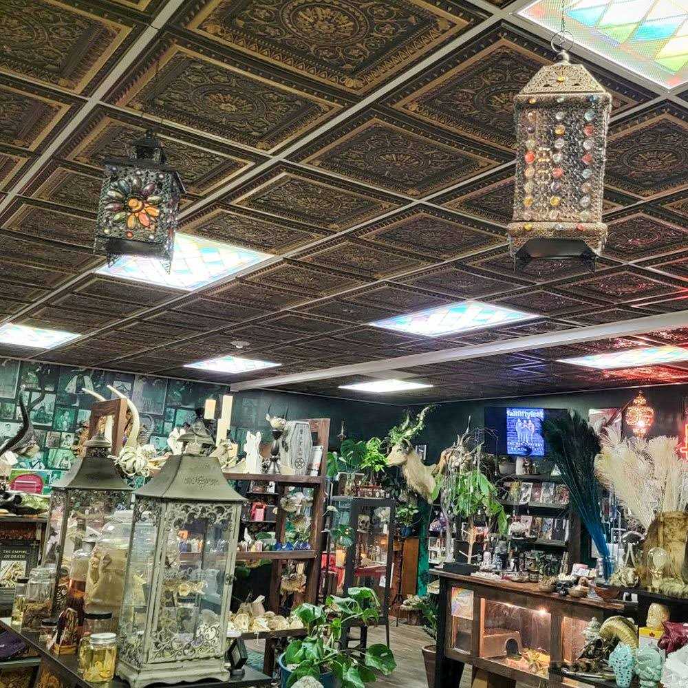 From Plain To Beautiful In Hours Da Vinci 2 ft. x 2 ft. PVC Lay-in Ceiling Tile in Antique - Image 3