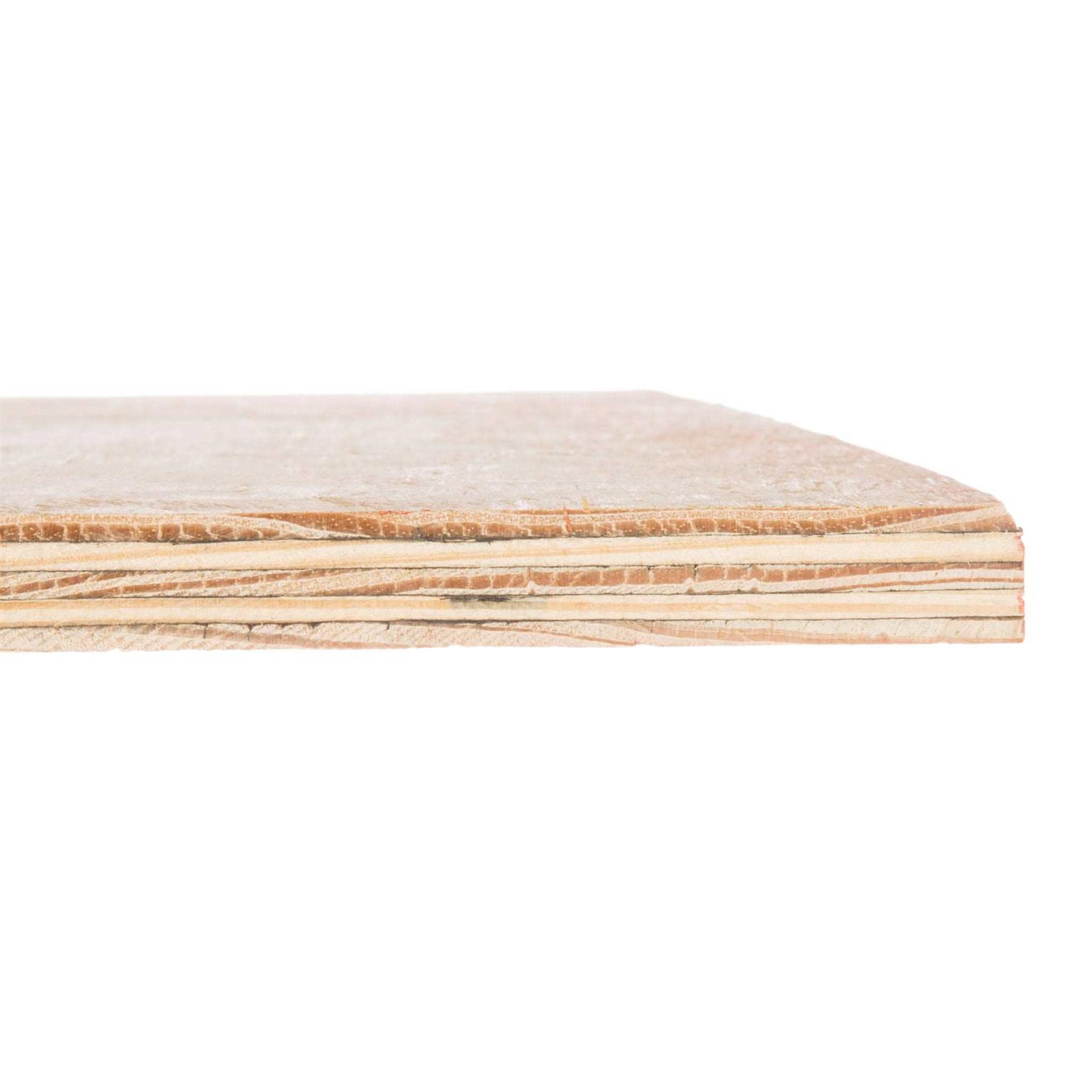 Plytanium 23/32-in x 4-ft x 8-ft Pine Sanded Plywood - Image 2