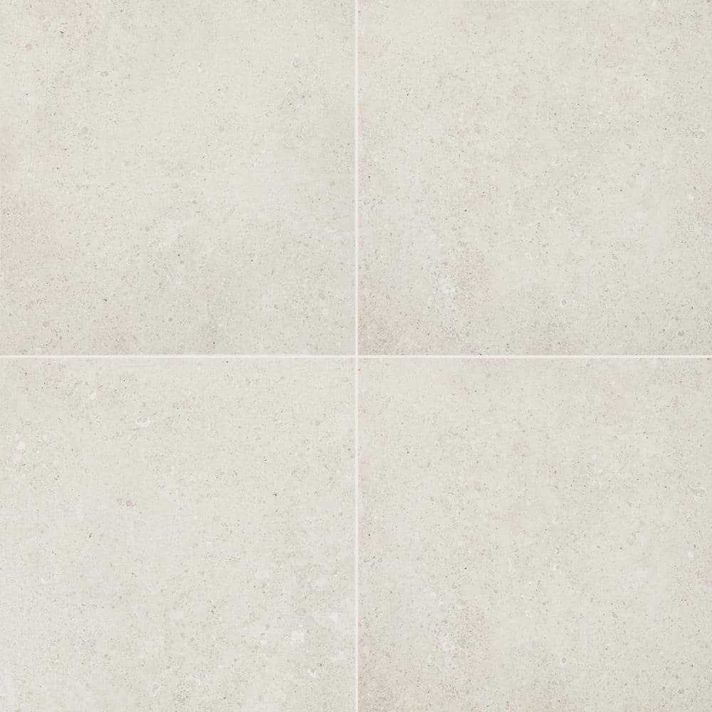 Daltile Adelaide 24 in. Color Body Porcelain Floor and Wall Tile CASE