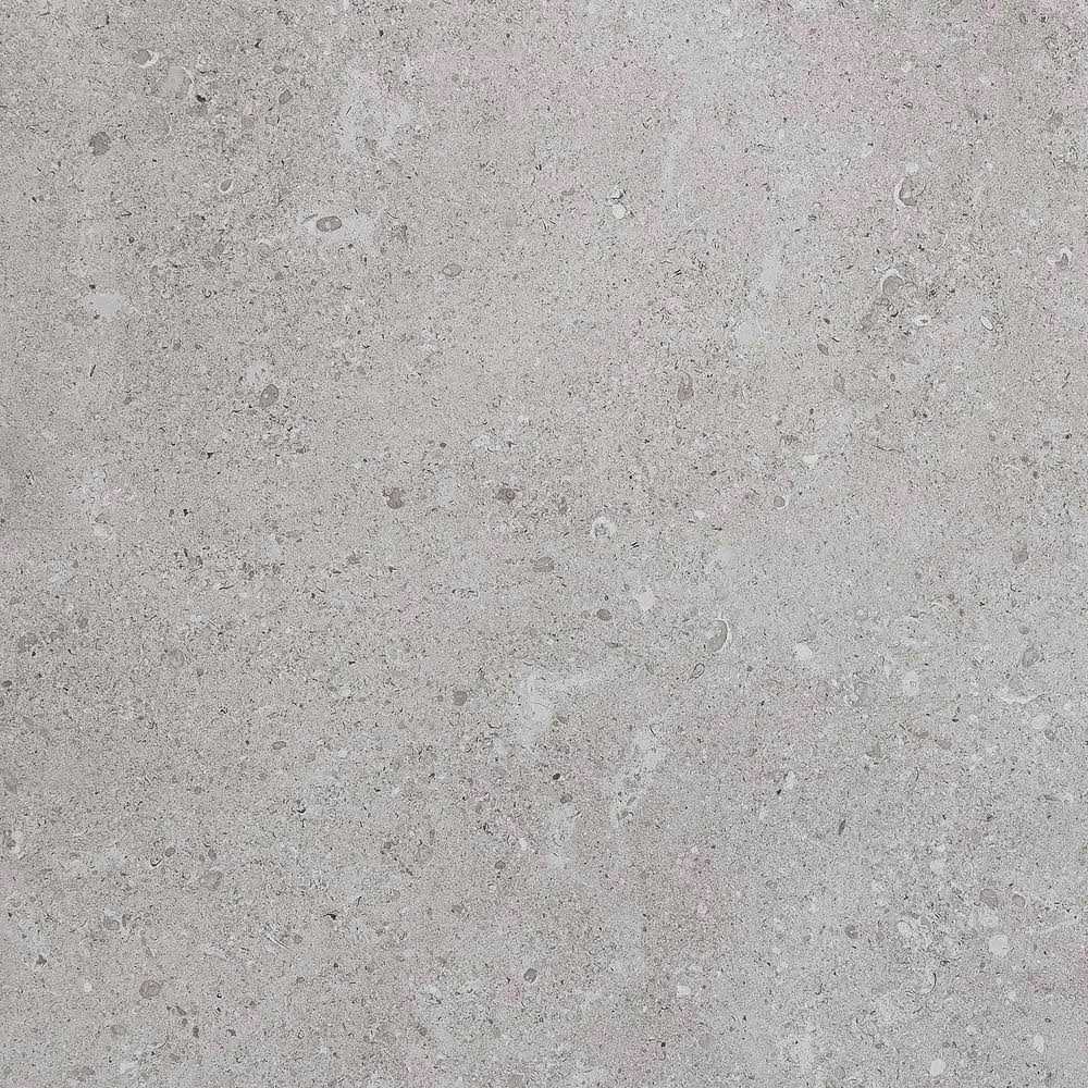 Daltile Adelaide 24 in. Color Body Porcelain Floor and Wall Tile CASE