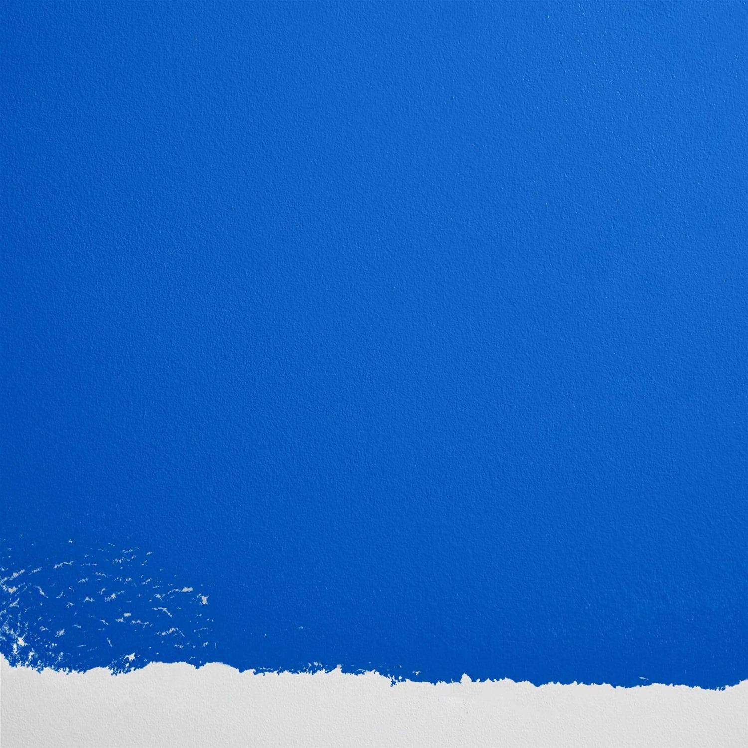 Backdrop Premium Interior Paint - Image 5