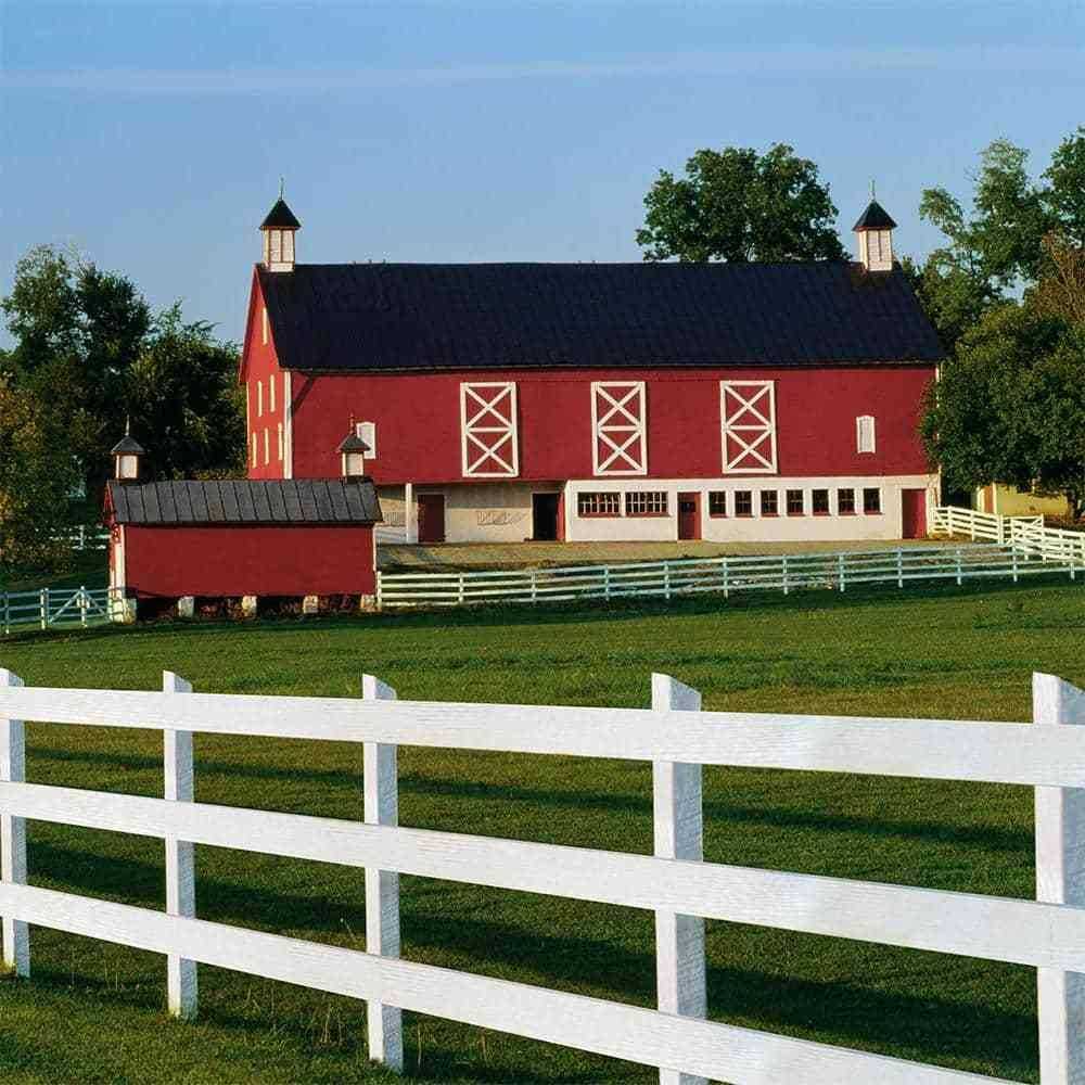 BEHR 5 gal. Red Exterior Barn and Fence Paint - Image 4