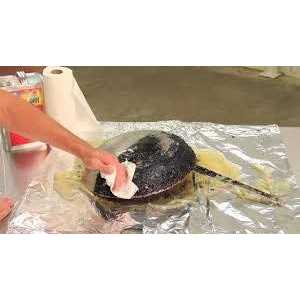 Carbon-Off 1 Gallon Heavy-Duty Carbon Remover - Image 3