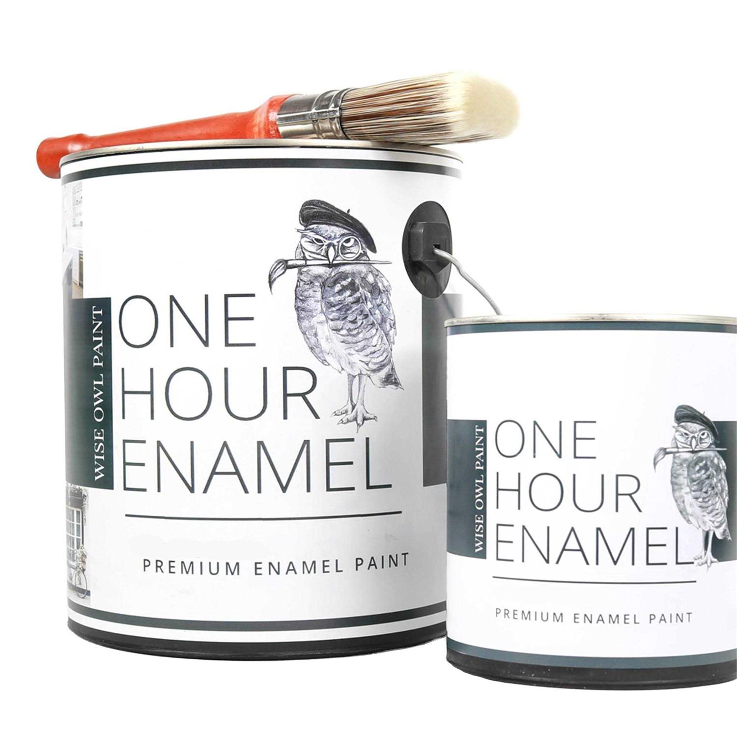 Wise Owl One Hour Enamel Paint - Image 5