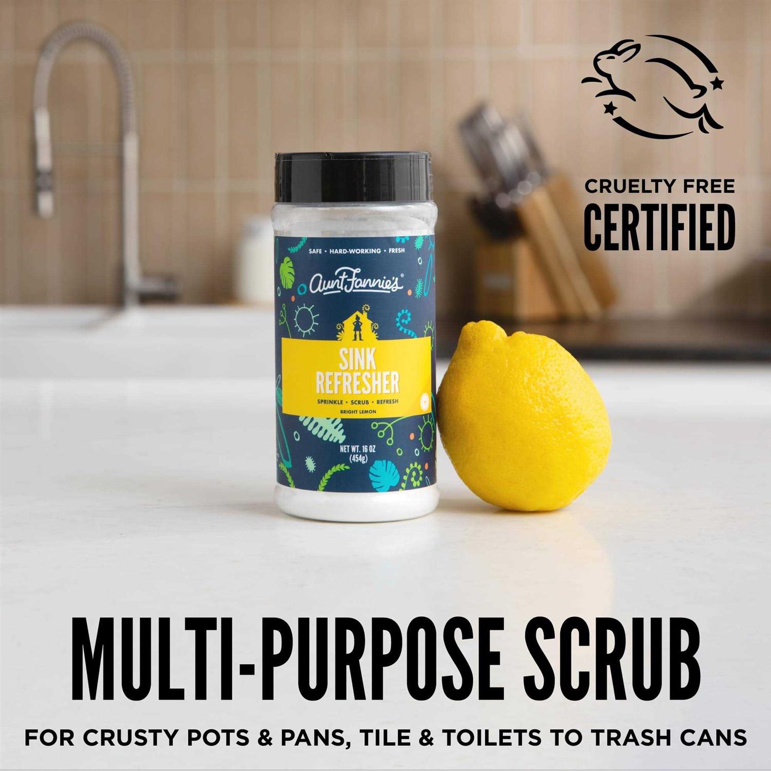 Aunt Fannie's Sink Refresher - Image 3