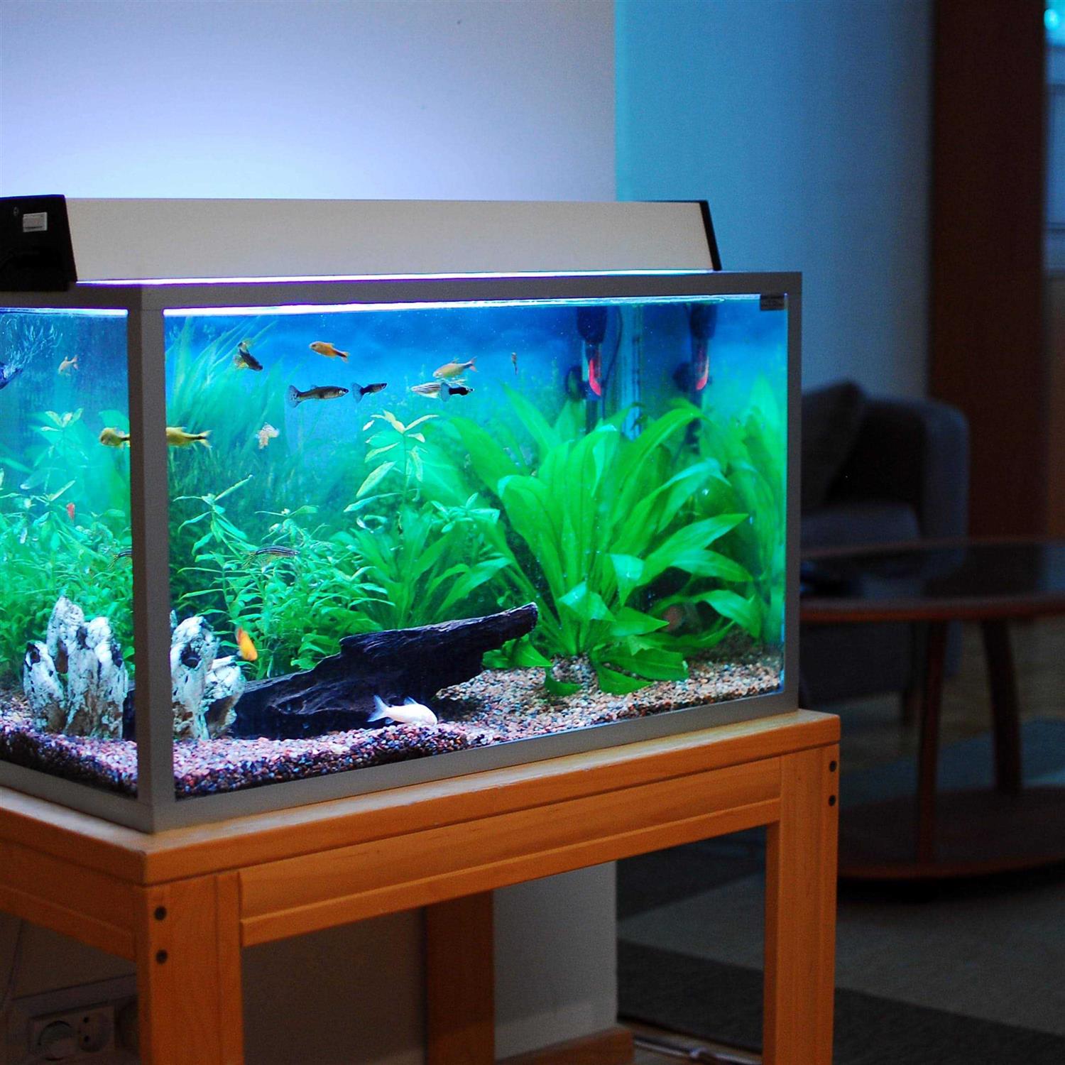 Akfix 100aq Aquarium Safe Silicone Sealant Waterproof Bond to Glass - Image 3