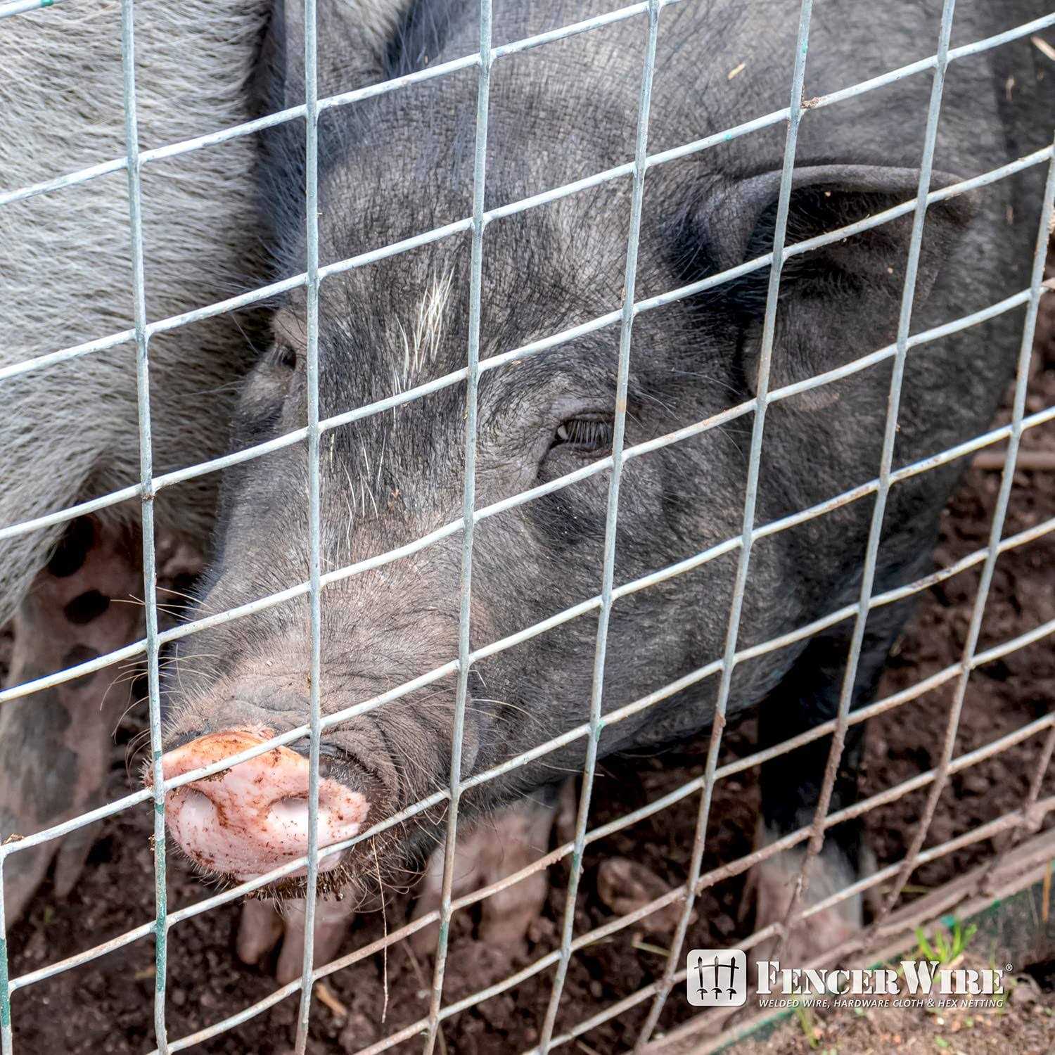 Fencer Wire 10 Gauge Galvanized Welded Wire Mesh Size 2 inch - Image 5