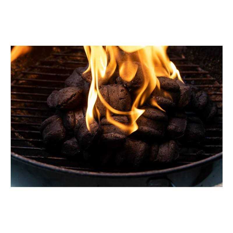 Expert Grill Charcoal Lighter Fluid - Image 3