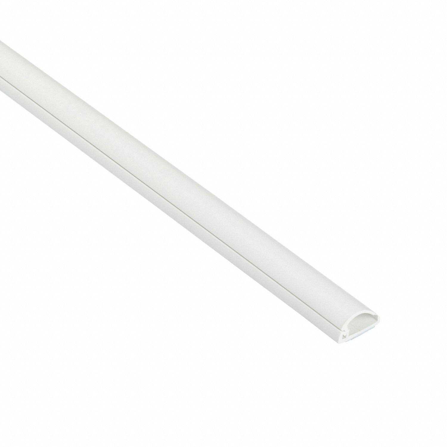 D-Line Raceway,6 ft 6 in L,White US/R2D1608W/GR