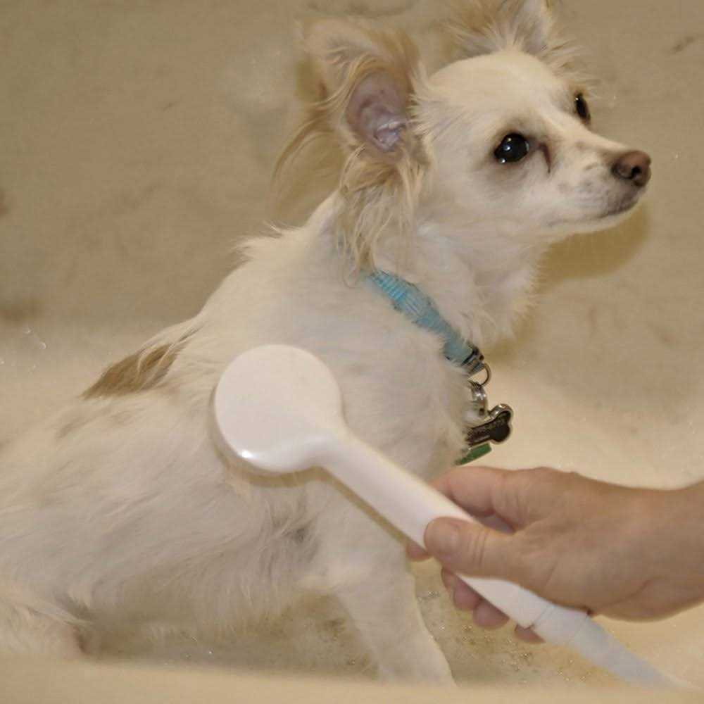 Danco Versaspray - Image 4