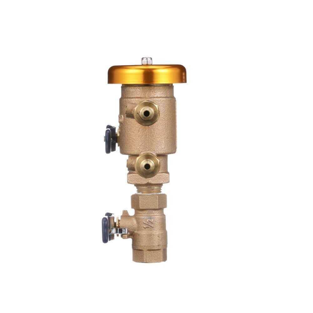 Febco Series 765 3/4 in. Bronze NPT Pressure Vacuum Breaker 765DBV - Image 5