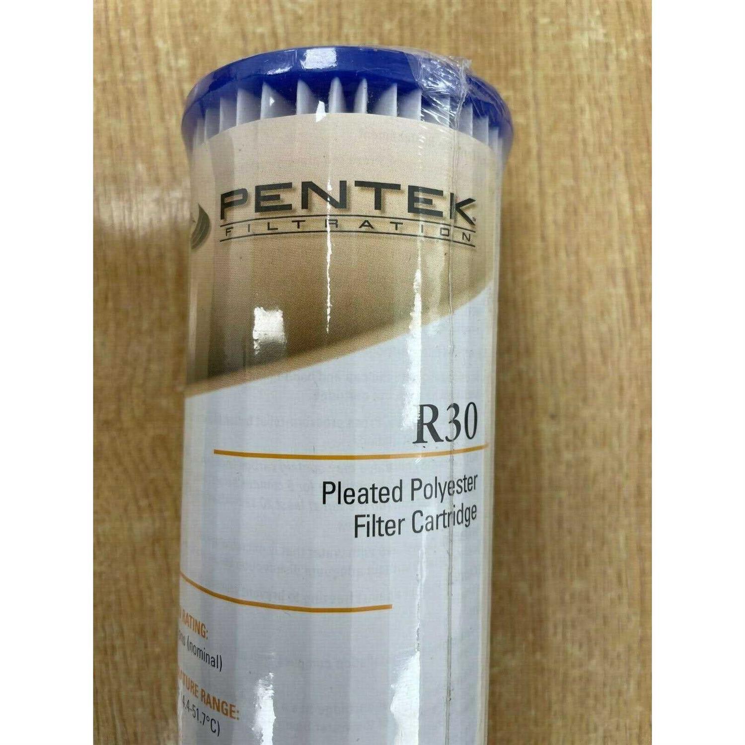 Pentek Pleated Polyester Filter - Image 5