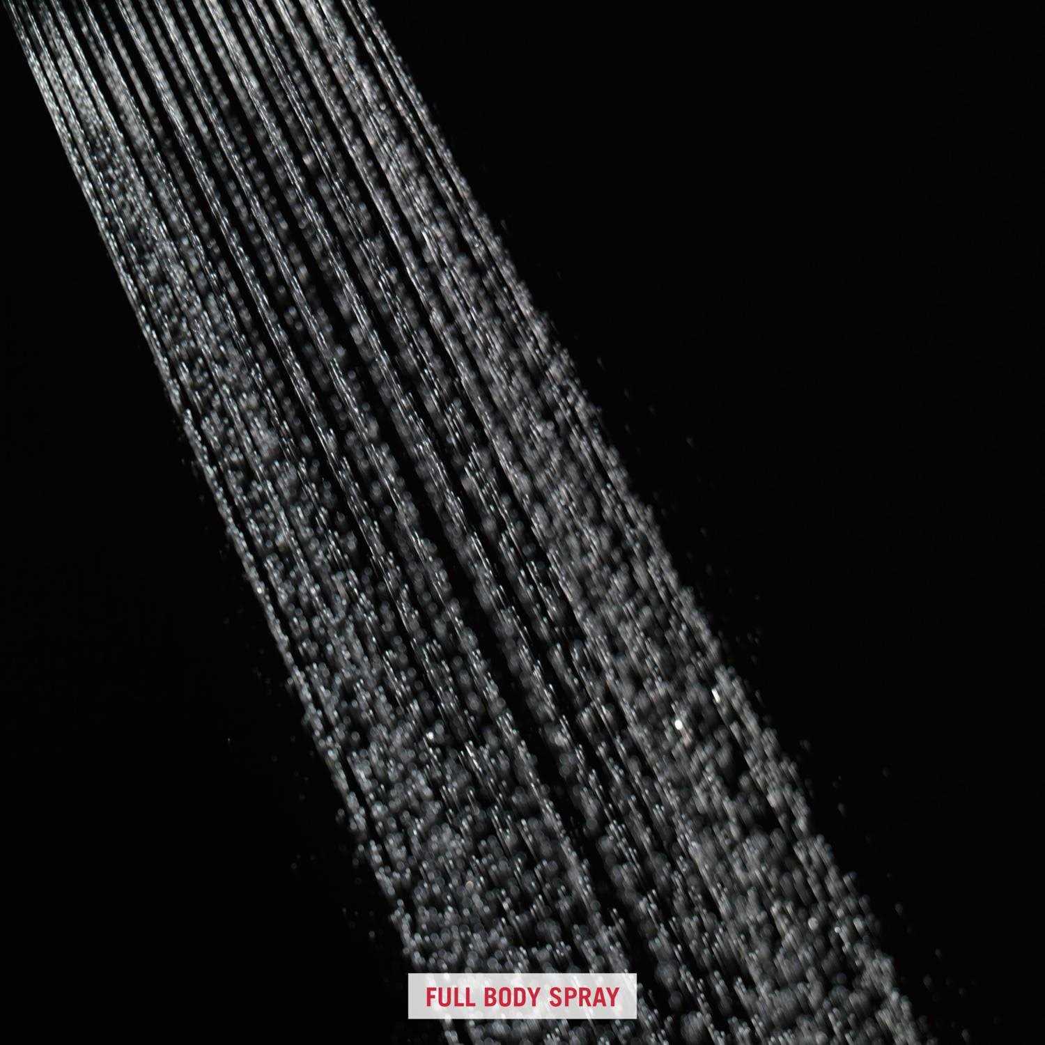 Delta Raincan Single-Setting Shower Head - Image 3