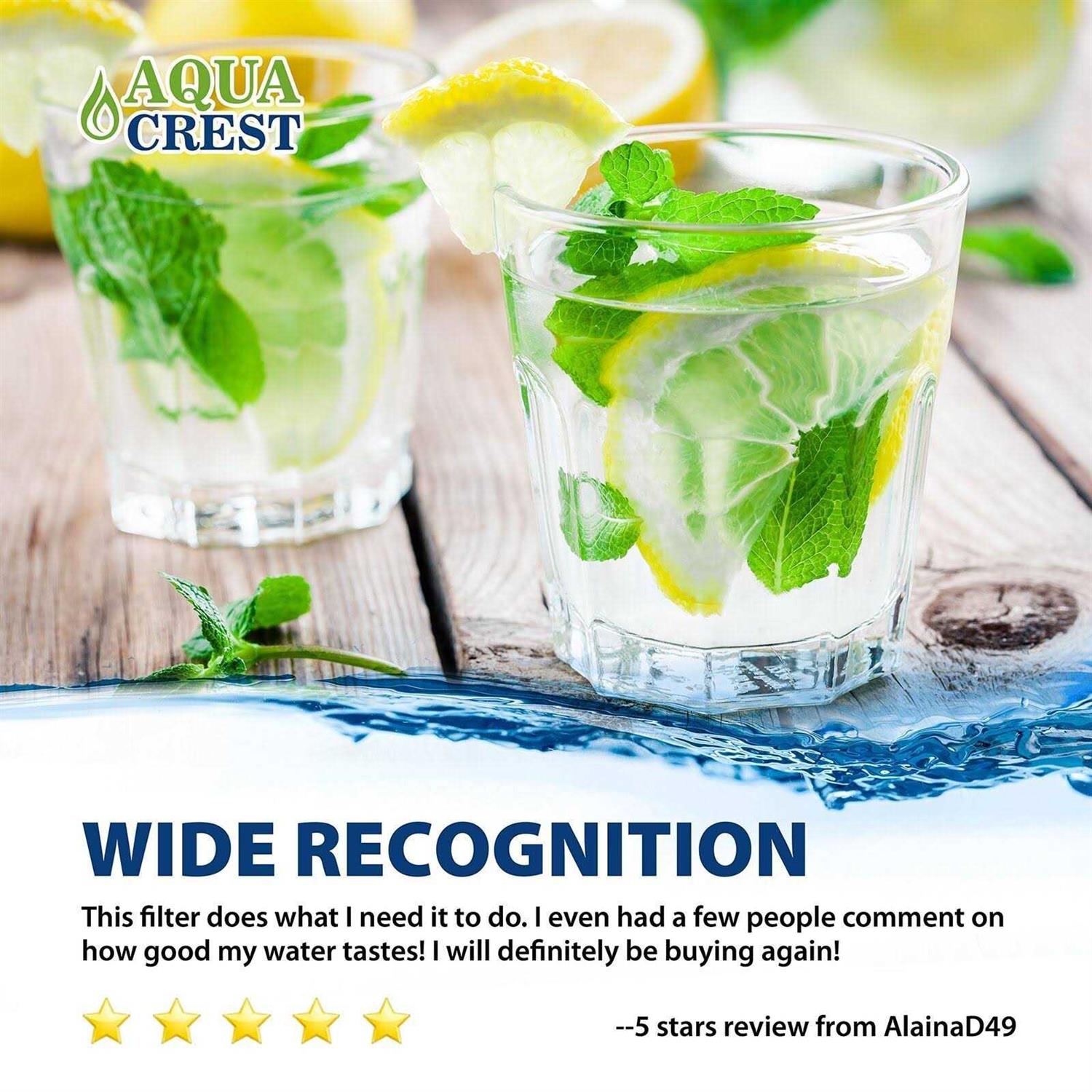 AQUA CREST Aquacrest GXRTQR Inline Water Filter NSF Certified - Image 4